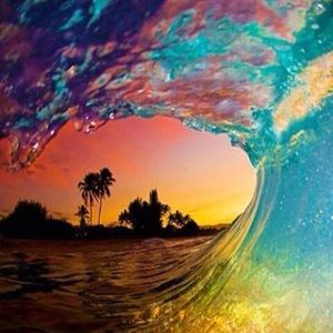 Meet your Posher, Hilliary